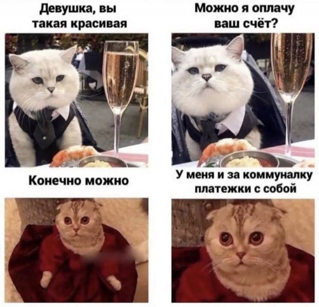 Всего понемногу