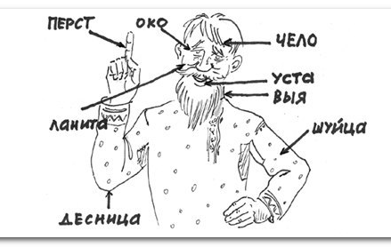 Дума приняла закон о контроле за соблюдением норм русского литературного языка