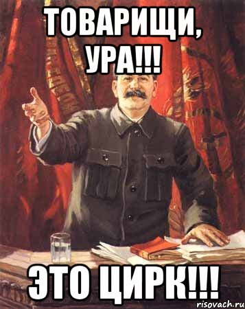 Очередной день в цирке мем