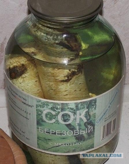 Обострение у котэ )))