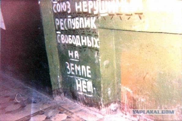 Квартира ненормального китайца
