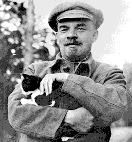 Коты пролетарии