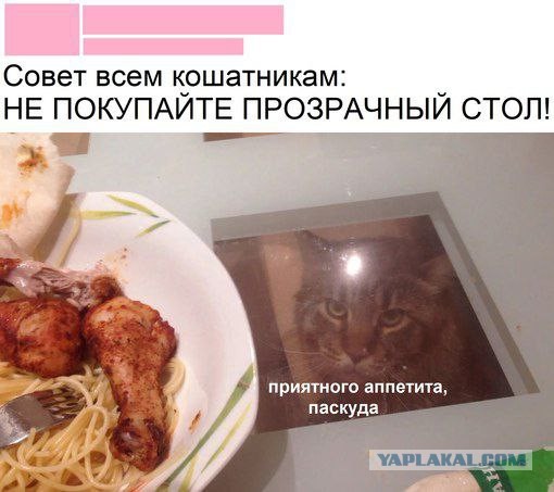 Чуток картинок