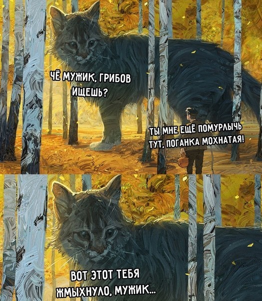 Быстрорастущий кот