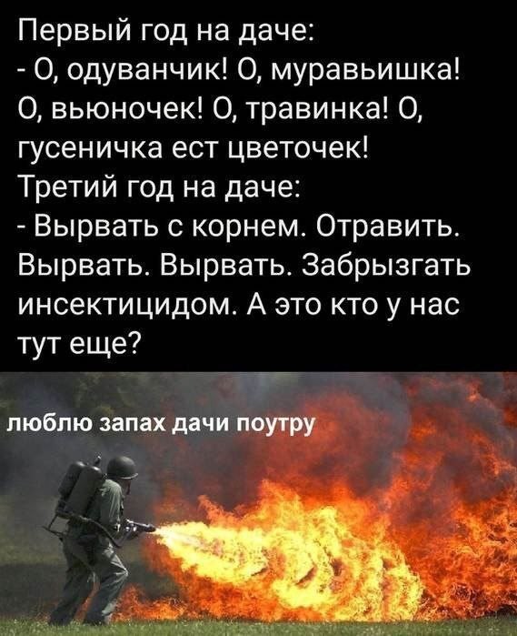 Приятное с полезным