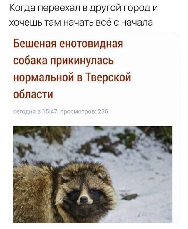 Картинки для деградации 72 (разной степени свежести)