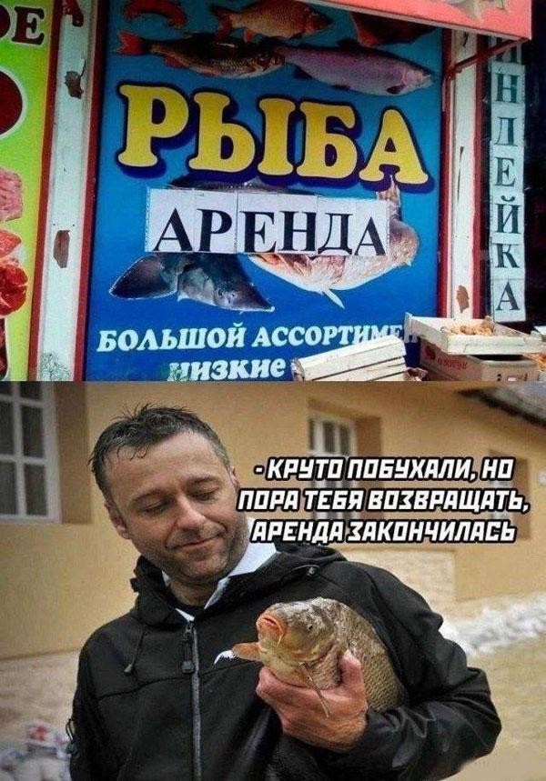 Картиночки, баянчики 18 февраля