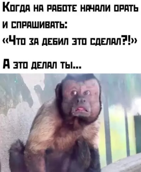 Картиночки, баянчики 24 марта