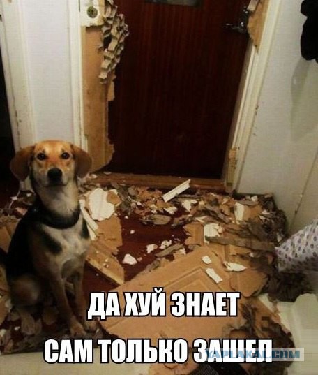 Я не видел, кто это сделал...