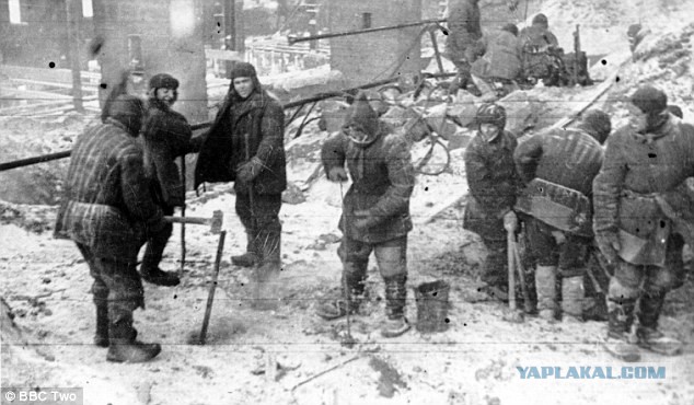 Сердюков устроился на работу