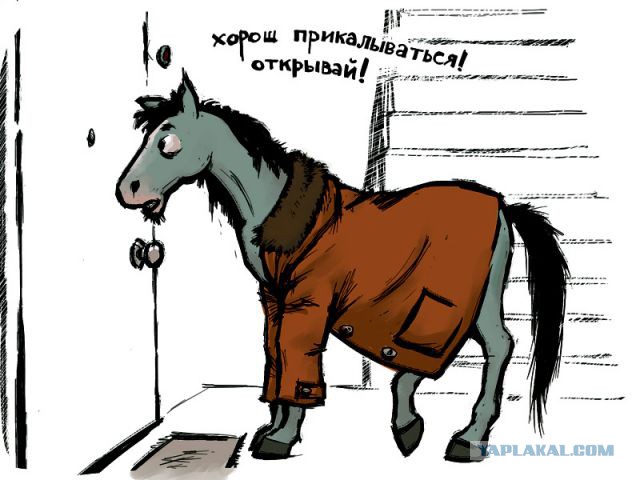 Уходишь к этой кобыле?