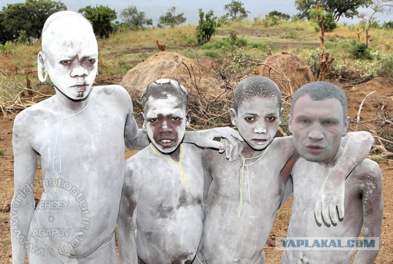 Нововведения в Украине