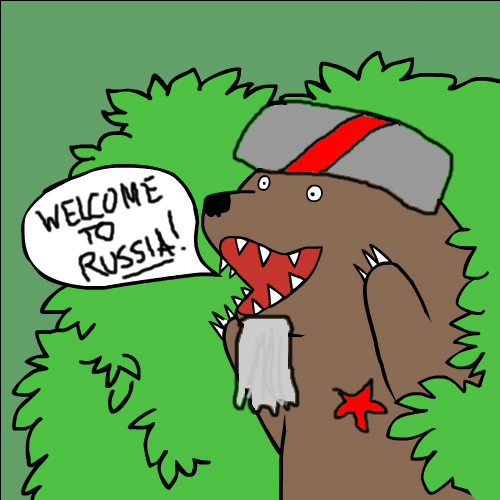 Медведь из за кустов картинка