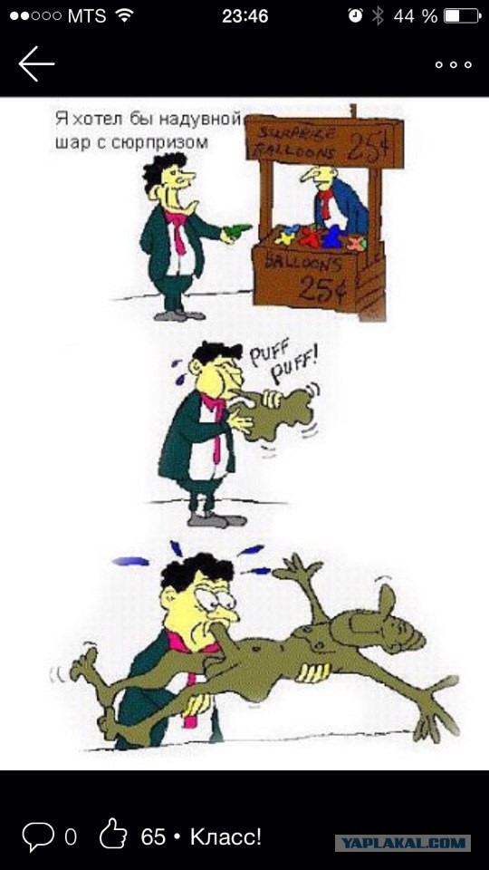 Весёлые картинки