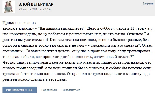 Истории от ветеринаров 4