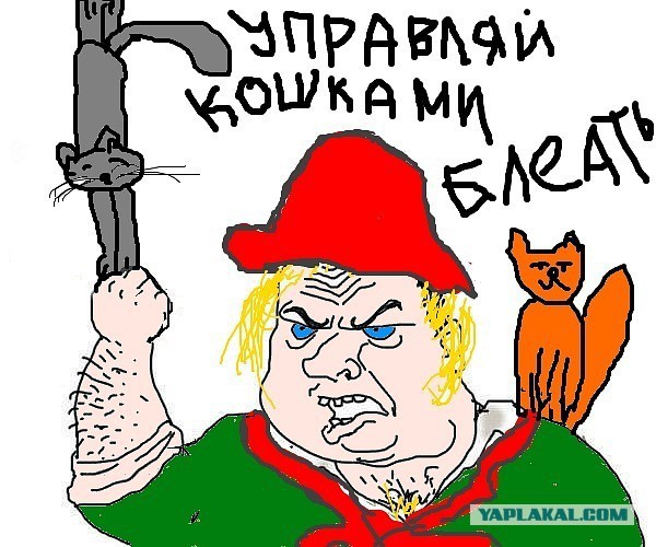 Тянуть кота за яйца картинка