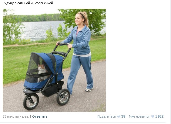 Подборка забавных картинок