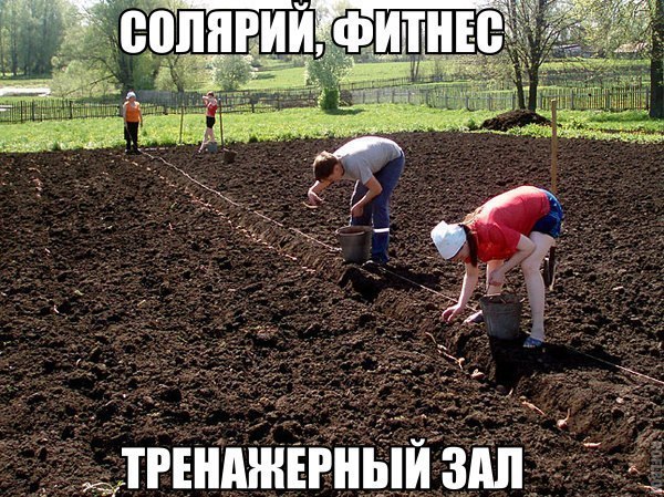 Картинки из сети, бессмысленные и беспощадные