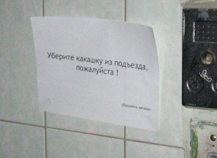 Картинки для поднятия настроения - 4