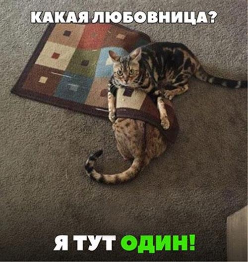 Немного картинок и гифок для пятничного настроения.