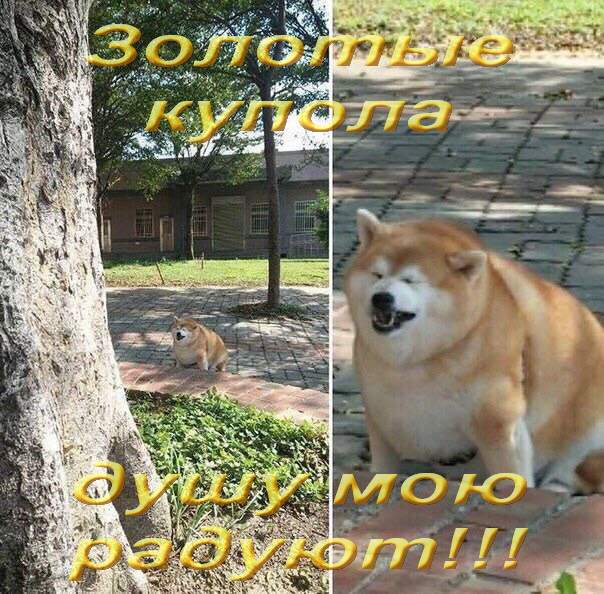 Соцсети - и смех и грех