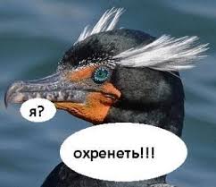 Футбольный клуб. Сезон 2017-2018