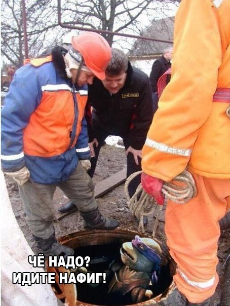 20 циничных шуточек, которые точно не предназначены для слишком чувствительных натур