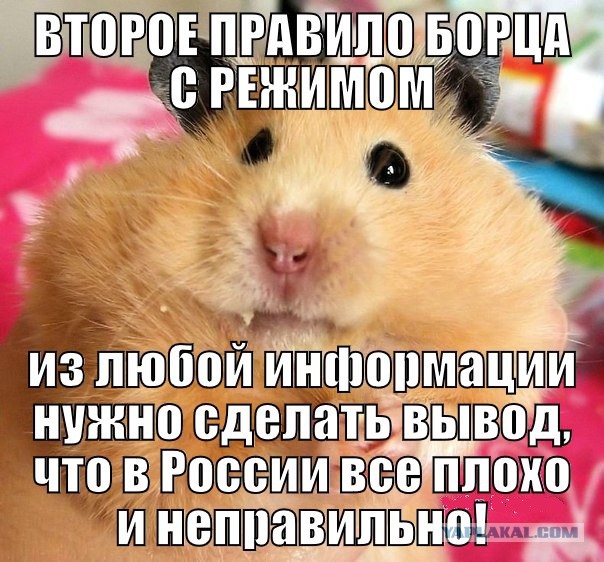 А вы знали, что...