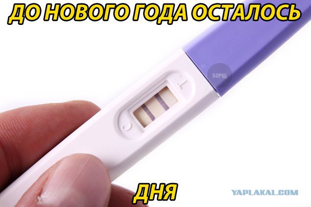 Почему бы не подеградировать, коллеги?