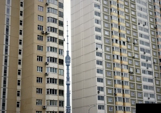 Фотографии, на которых простые вещи совпали друг с другом как инь и ян