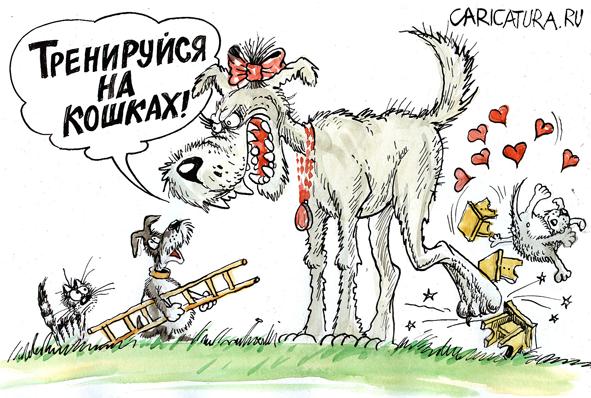 «Маленький член — это приговор»