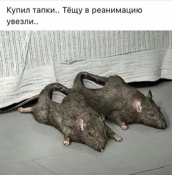 Пятница в черном - черном городе...