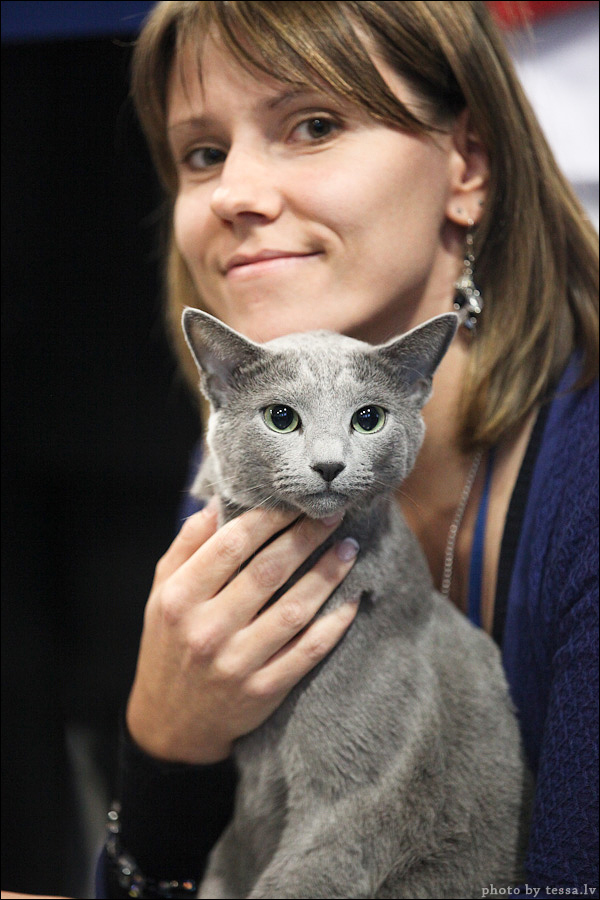 Котовторник! 08.11.11