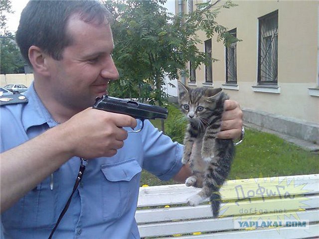 Росгвардия проигнорировала расследование ФСБ