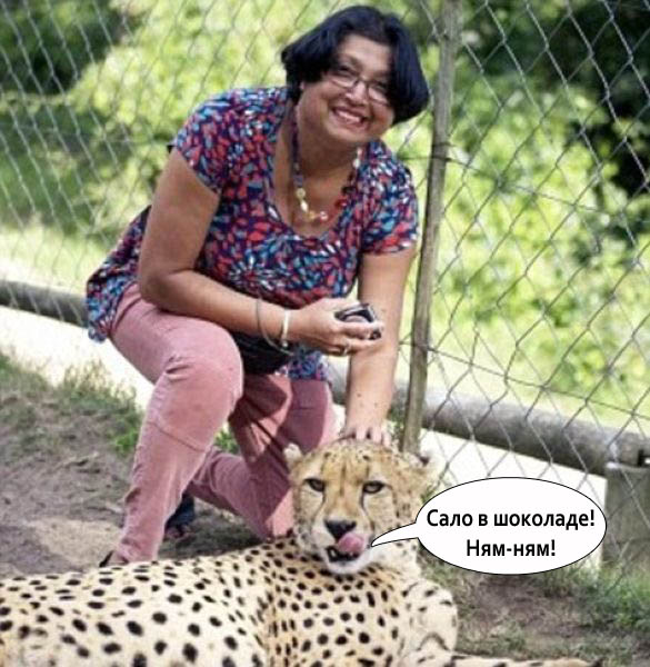 "Находчивый" муж или "вот тебе и погладь кису"