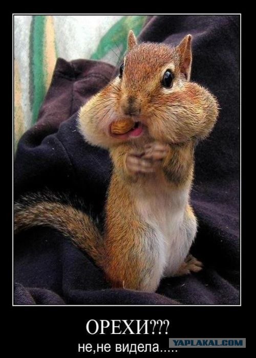 Застукали на месте преступления