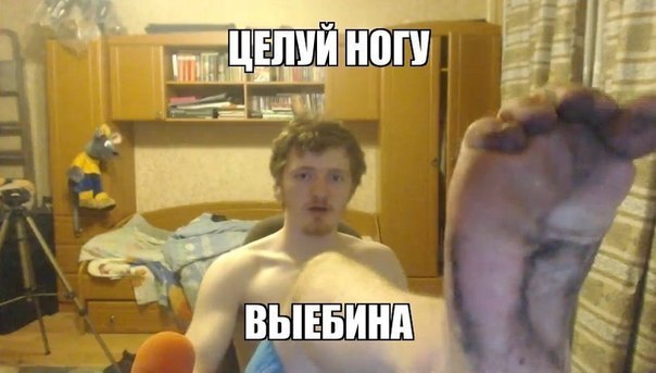 Скотсети и прочие интернеты 01.02.19