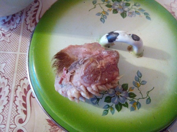 В Зауралье в школьном супе нашли странный кусок мяса с белыми отростками