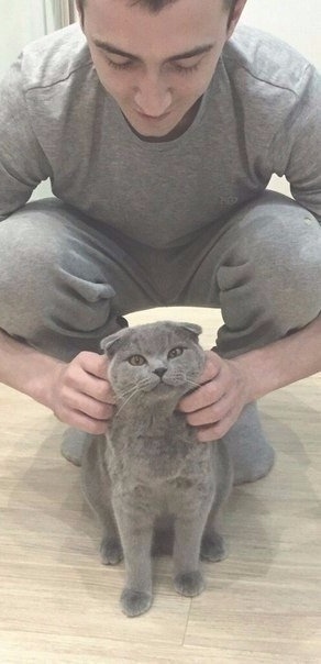 Прикольных котов пост