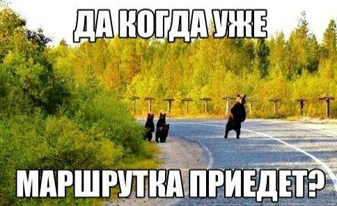 Подборка интересных и веселых картинок 09.07.19