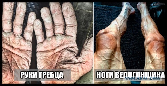Насколько правдива легенда о «зеркалах Архимеда», которые сожгли римский флот?