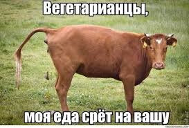 Ученые рассказали, как связаны вегетарианство и уровень IQ