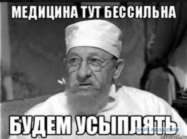 Тимбилдинг "Пятерочки" в Северном Бутове