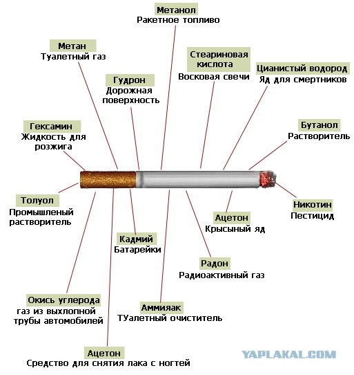 Папиросы «Беломорканал» упаковали в жесть