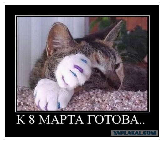 Бредзона 06.03.2020