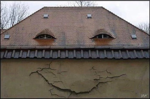 Дефект бруса
