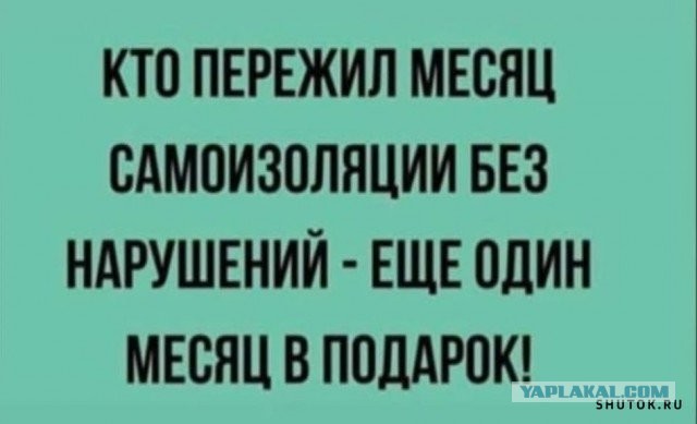 Чуток картинок 25.04.20