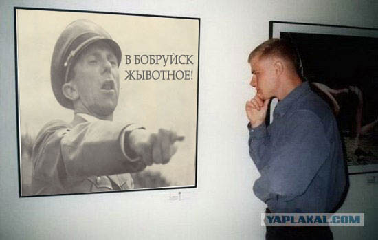 Фотожаба: Молодой ценитель