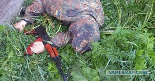 На Украине пьяный охотник застрелил в лесу семь человек