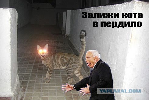 Фотожаба: Маккейн и Обама